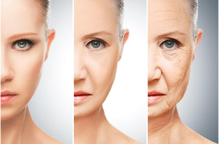 What is the leading cause of premature aging?